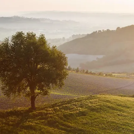 Frazione Montesecco - 2 * بيرغولا