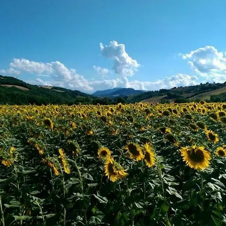 Frazione Montesecco - 2